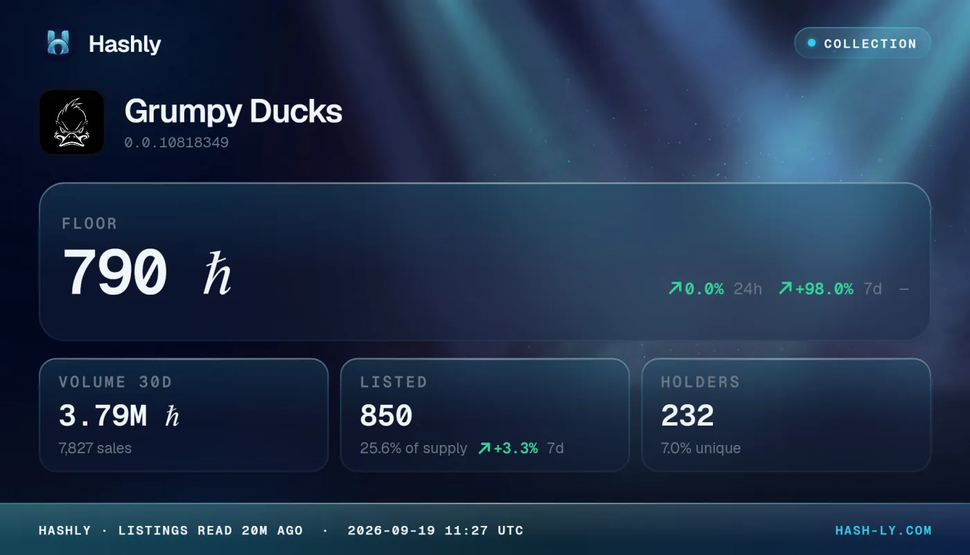 Collection card as the bot posts it, with Hashly's branding
